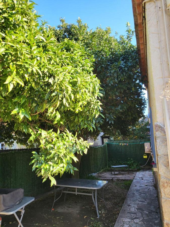 Apartament Clementine Collioure Zewnętrze zdjęcie